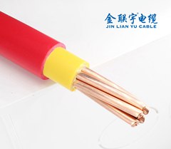 金聯(lián)宇BVV電纜 雙皮電線(xiàn)