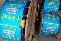 金聯(lián)宇電纜 低煙無(wú)鹵電力工程電纜全項(xiàng)保檢電纜